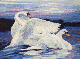 Swans