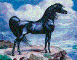 Black Stallion