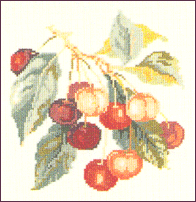 Cherries