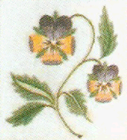 Violas