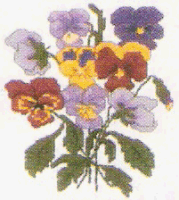 Pansies