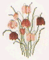 Snakeshead Fritillaries