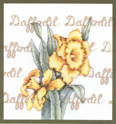 Daffodils