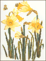 Daffodils